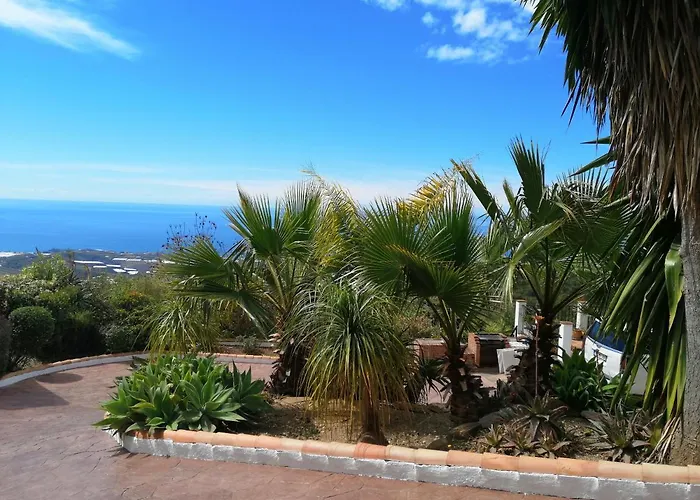 La Montana Del Oro